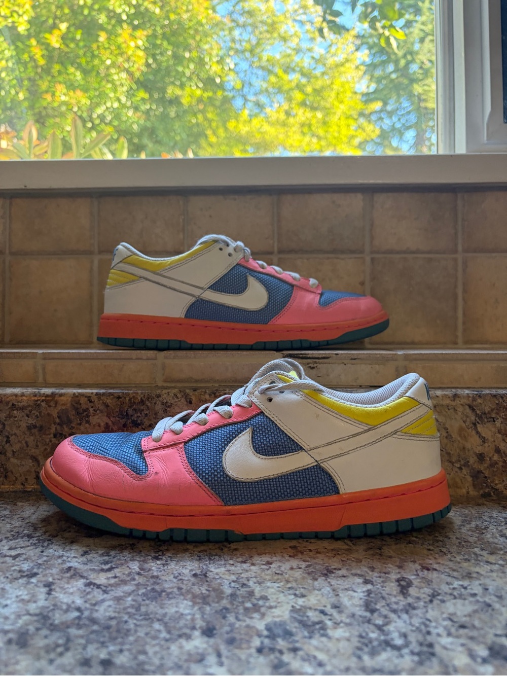 Nike Dunk Low